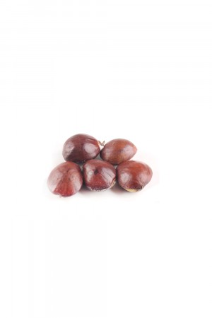 Jengkol Muda 250 GR