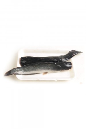 Ikan Lele (500 gr Kotor) 