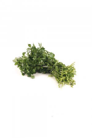 Sayur Parit (1 IKAT)