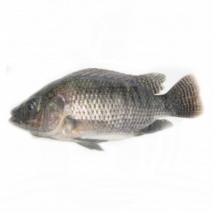 Ikan Nila (500gr Kotor) 
