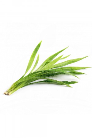 Daun Pandan (100gr) 