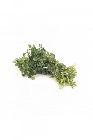 Sayur Parit (1 IKAT)