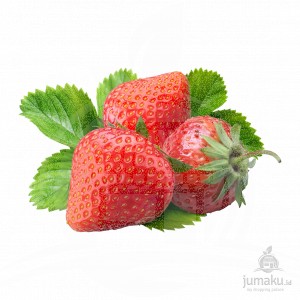 Strawberry (Fragaria daltoniana)