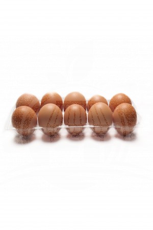 Telur Ayam Negeri/ Pack 10 Butir
